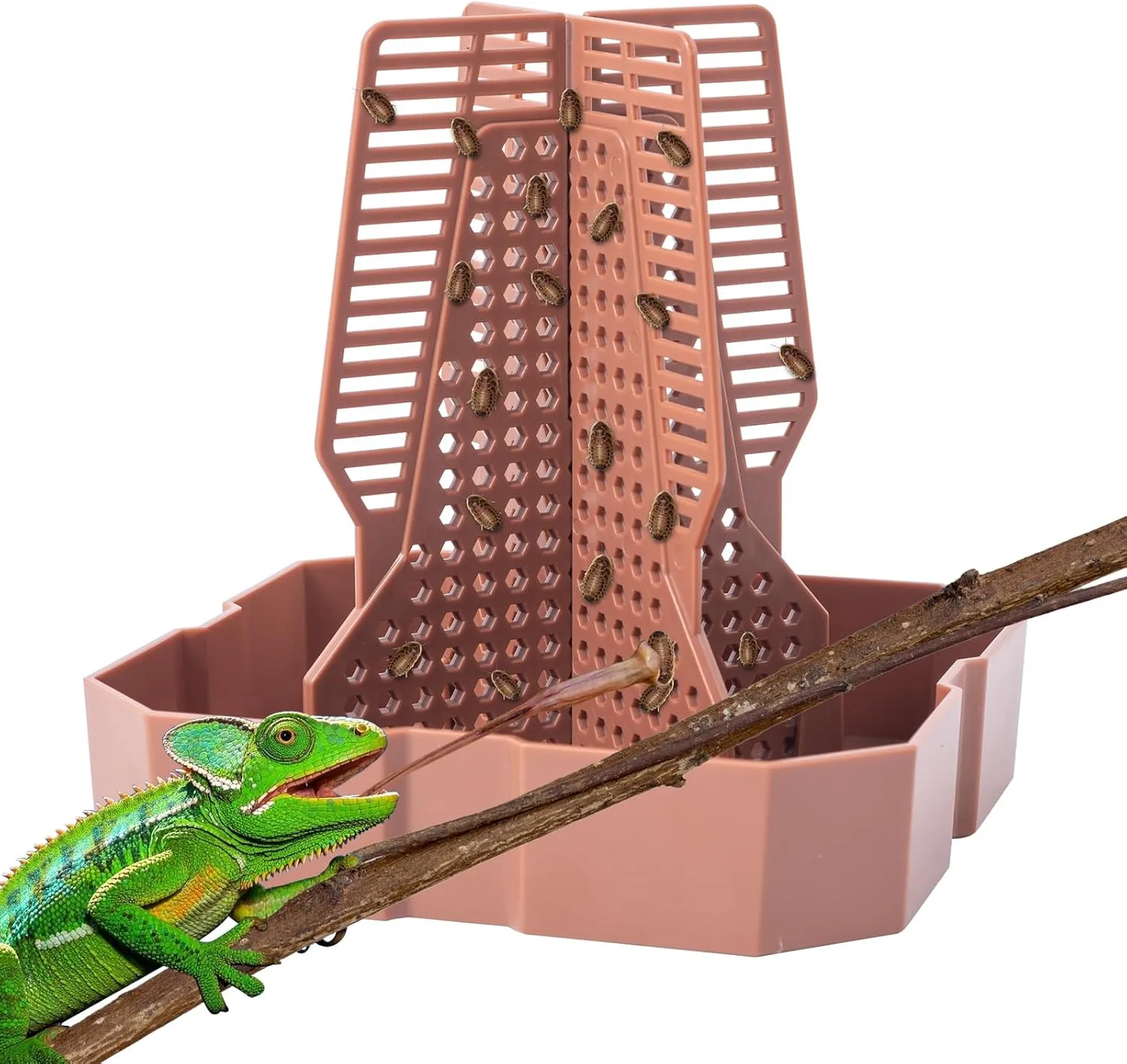 Reptile Feeder Bowls with Climbing Ladder for Chameleon,Bearded Dragon,Guardians Hunting Bugs Keep Training Terrarium Bowls for Lizards,Frogs,Geckos Other Small Pets,Brown (Small)
