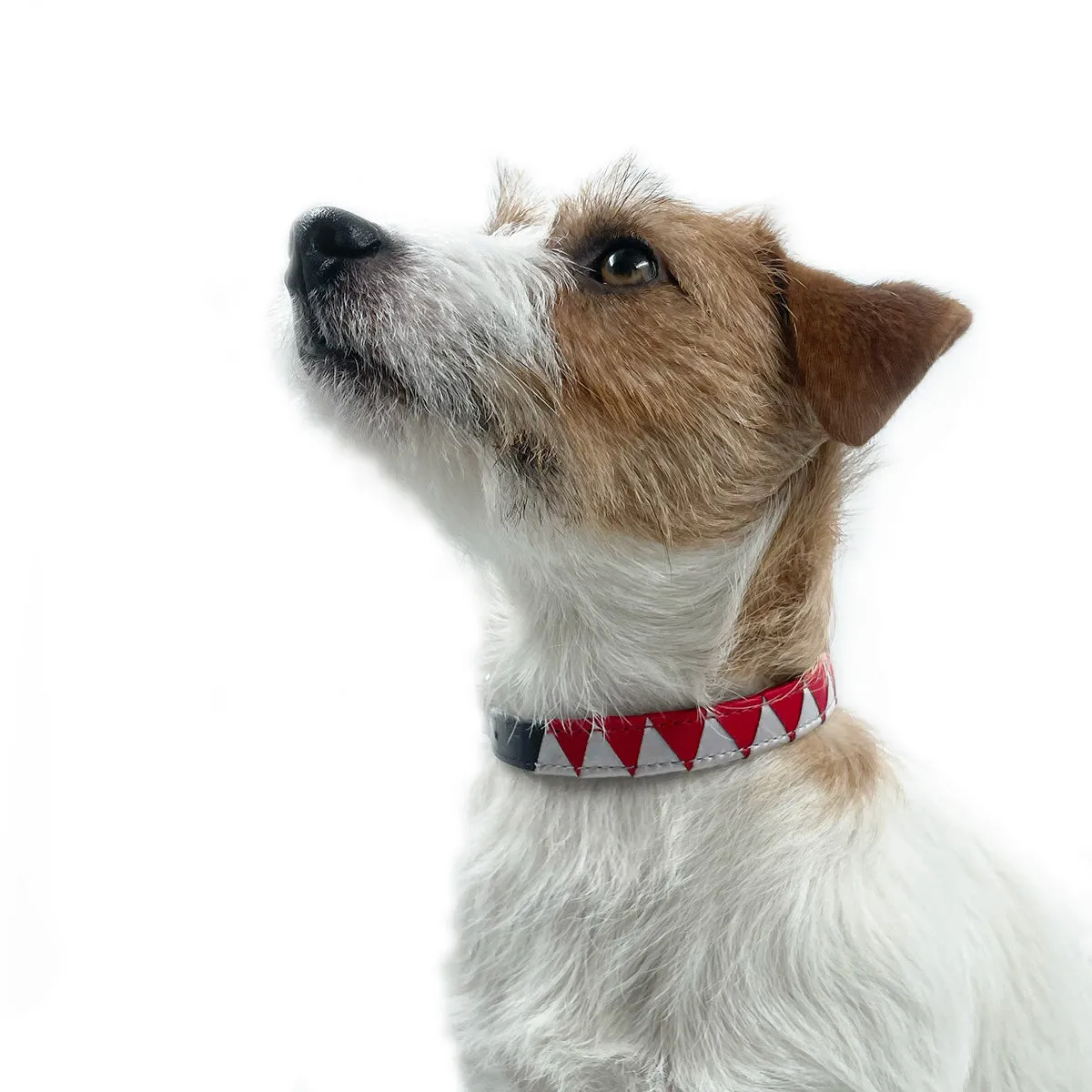 Sharktooth Dog Collar Leather - Light Grey & Red