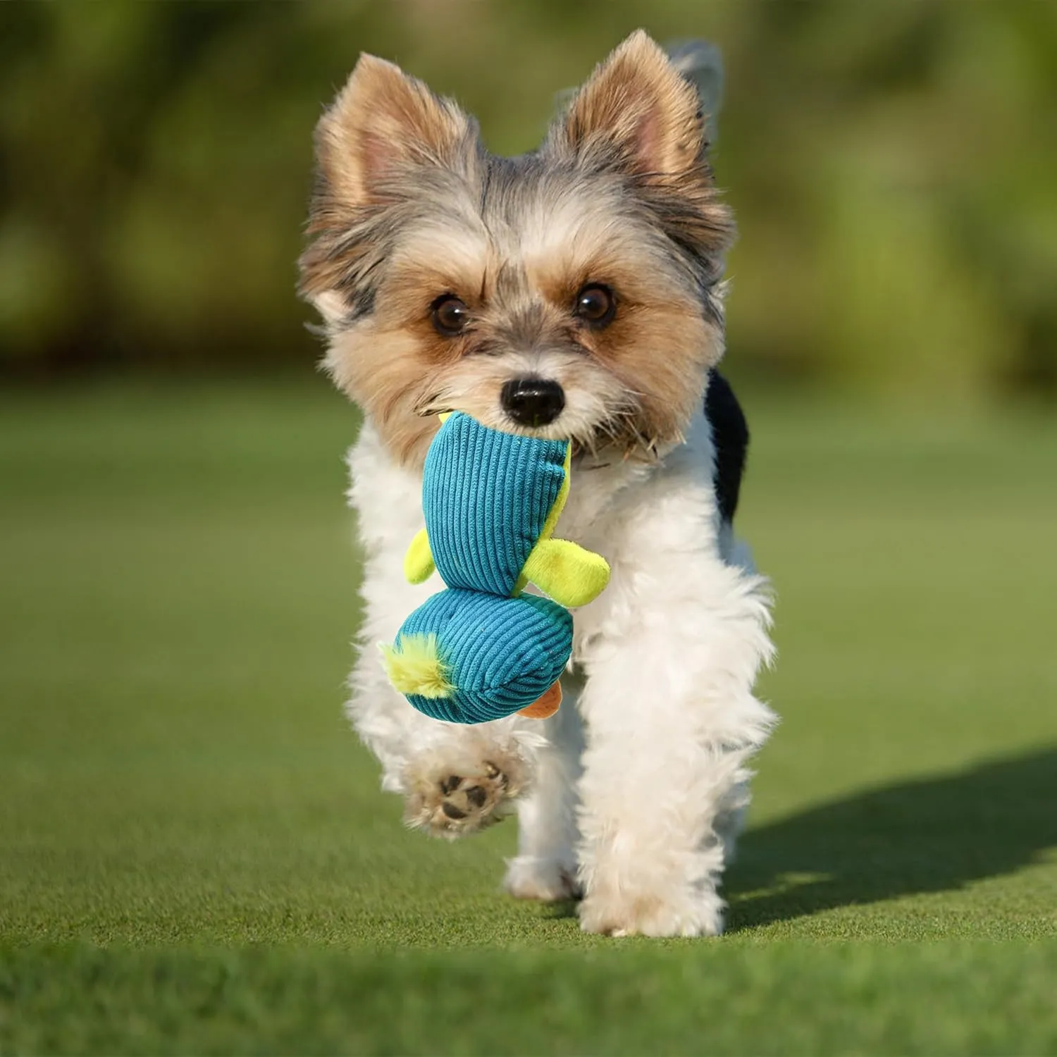 Squeaky Dog Toys to Keep Them Busy Squeaky Dog Toys with Soft Fabric, for Small and Medium Dogs for Daily Interaction, Companion Training 1Pcs (Blue Duck)