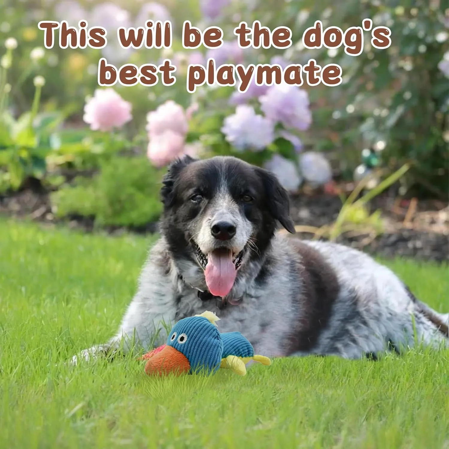 Squeaky Dog Toys to Keep Them Busy Squeaky Dog Toys with Soft Fabric, for Small and Medium Dogs for Daily Interaction, Companion Training 1Pcs (Blue Duck)