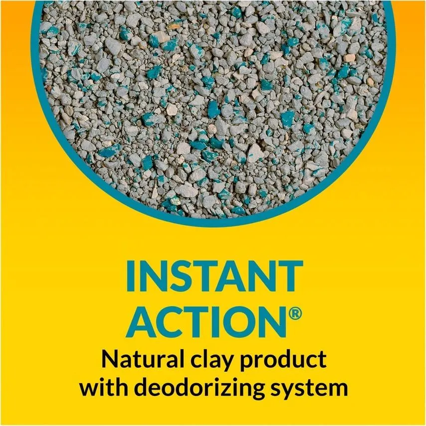 Tidy Cats Non Clumping Instant Action Immediate Odor Control Cat Litter (10-lb)