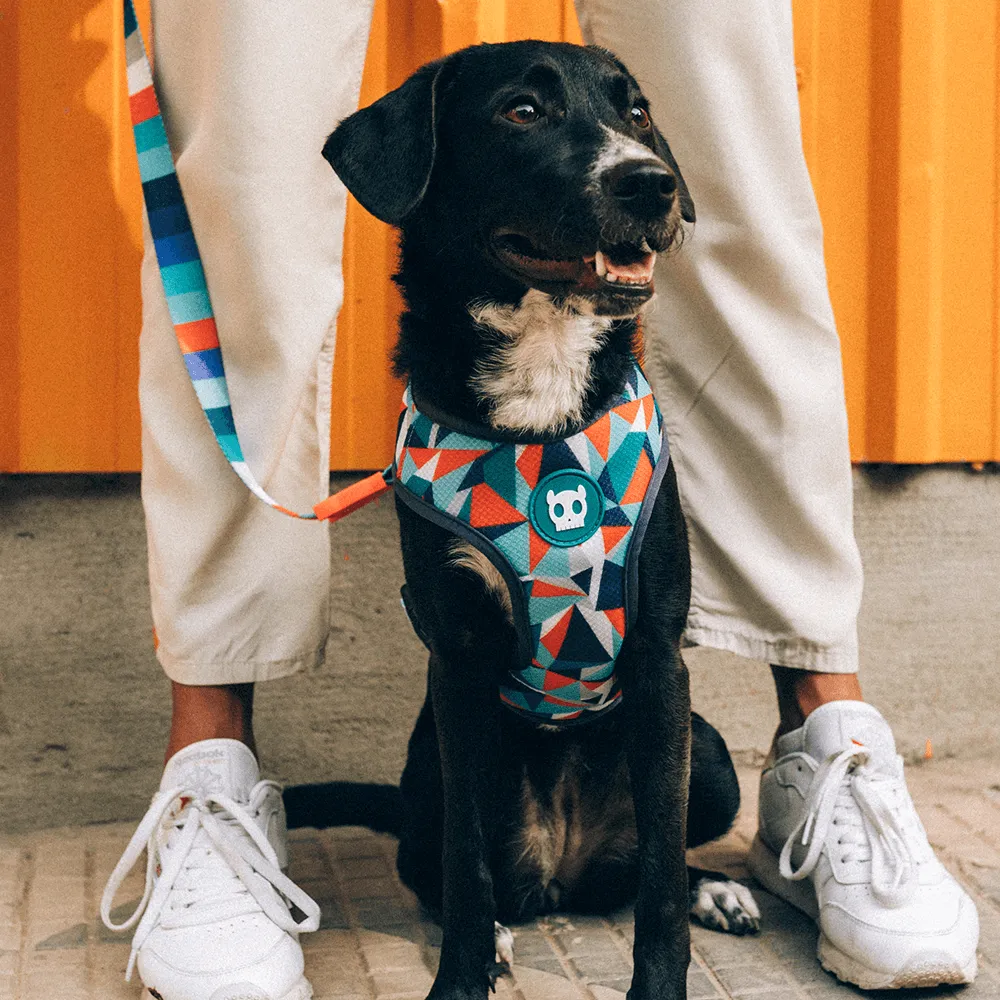 Zee.Dog Ella Adjustable Air Mesh Harness