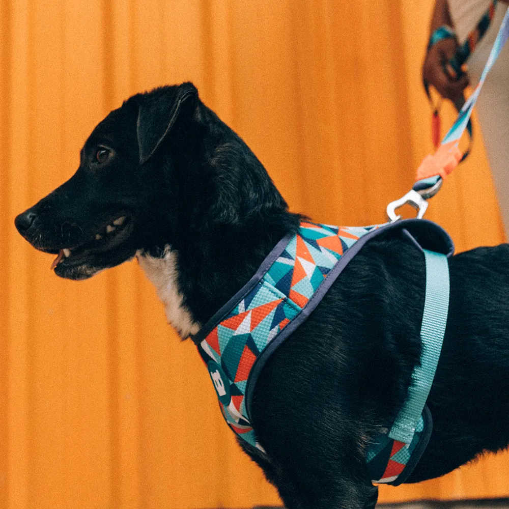 Zee.Dog Ella Adjustable Air Mesh Harness