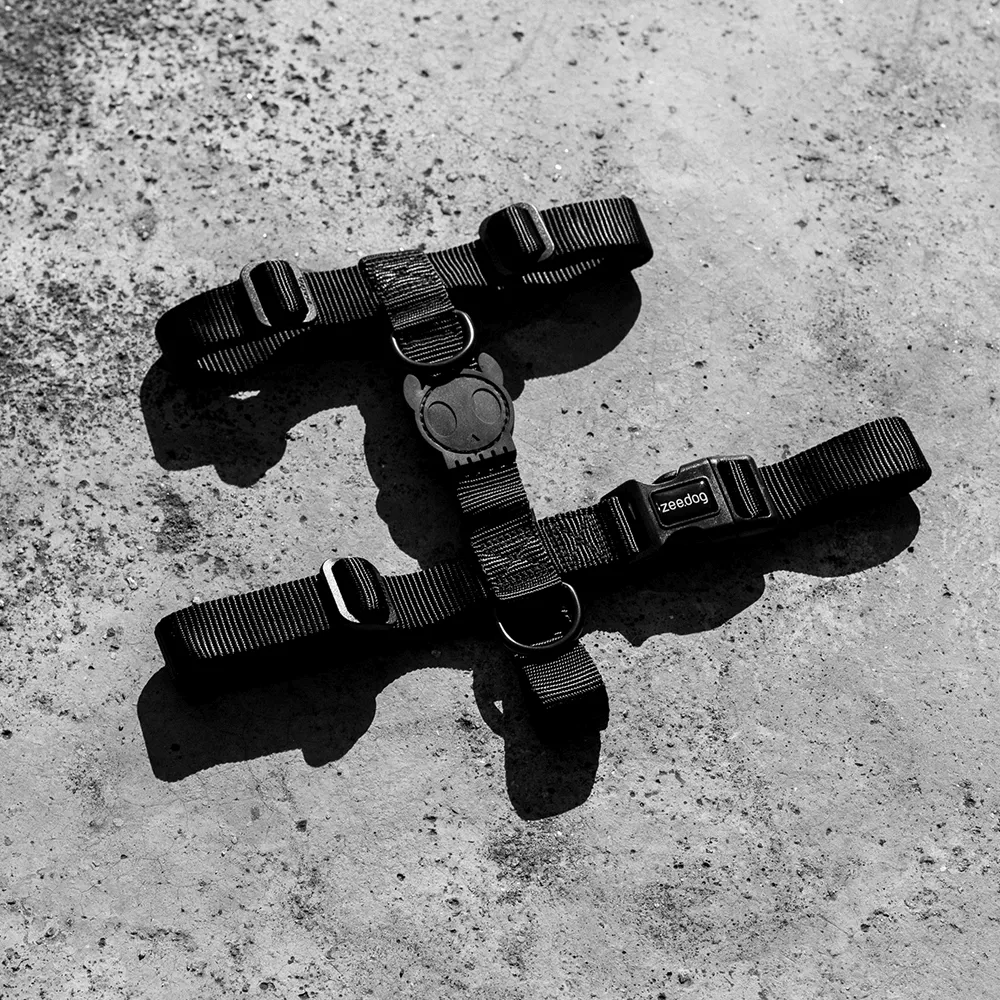 Zee.Dog Gotham H-Harness
