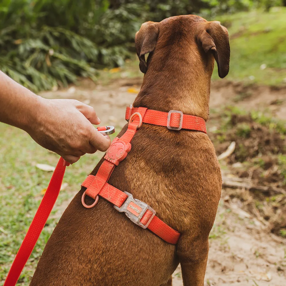 Zee.Dog Neopro Coral H-Harness