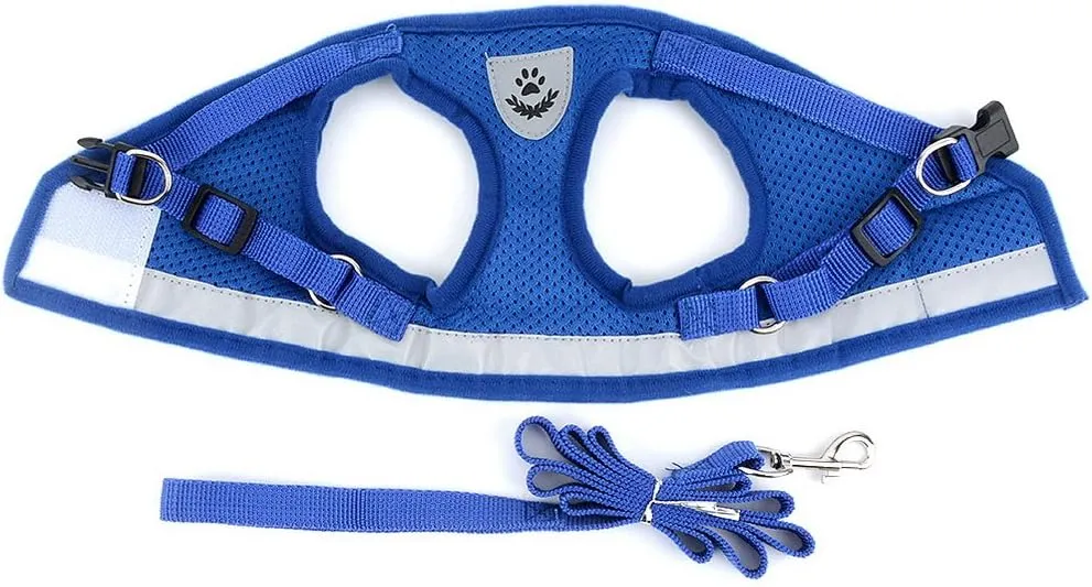 Zunea No Pull Dog Harness for Tiny Small Dog Cat, Kitten Lead Escape Proof for Daily Walking Reflective Breathable Soft Mesh Padded Step-in Vest Harnesses Leash Set Blue XS