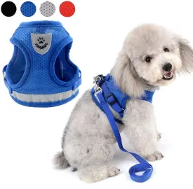 Zunea No Pull Dog Harness for Tiny Small Dog Cat, Kitten Lead Escape Proof for Daily Walking Reflective Breathable Soft Mesh Padded Step-in Vest Harnesses Leash Set Blue XS