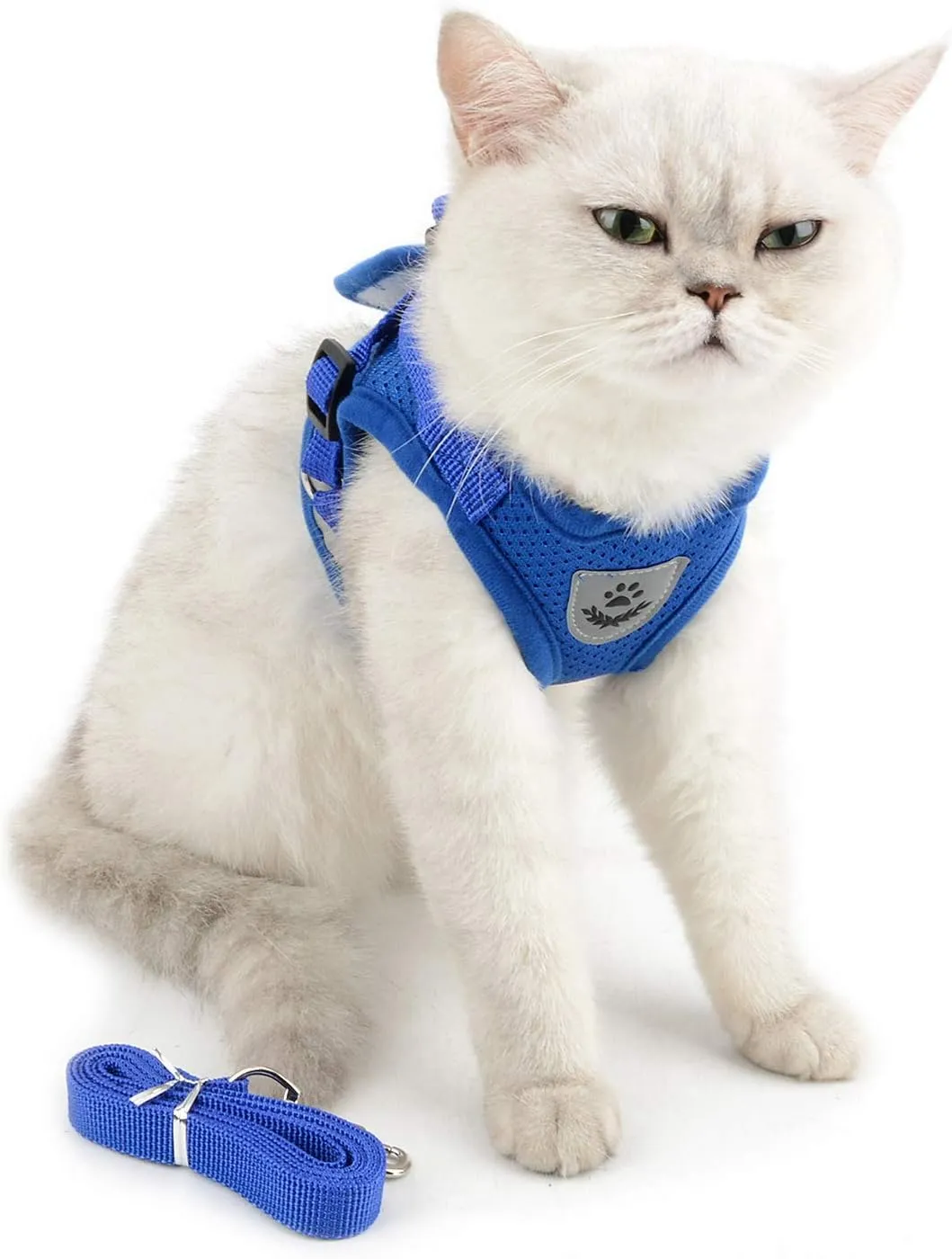 Zunea No Pull Dog Harness for Tiny Small Dog Cat, Kitten Lead Escape Proof for Daily Walking Reflective Breathable Soft Mesh Padded Step-in Vest Harnesses Leash Set Blue XS