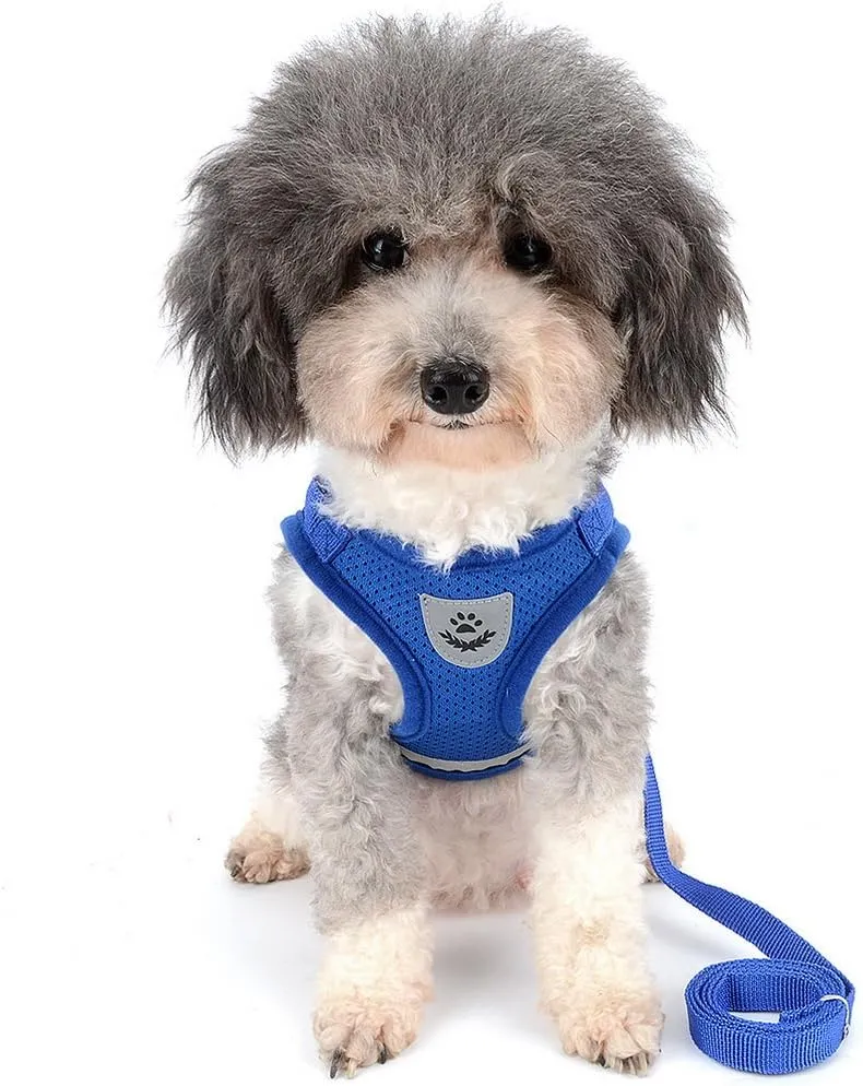 Zunea No Pull Dog Harness for Tiny Small Dog Cat, Kitten Lead Escape Proof for Daily Walking Reflective Breathable Soft Mesh Padded Step-in Vest Harnesses Leash Set Blue XS