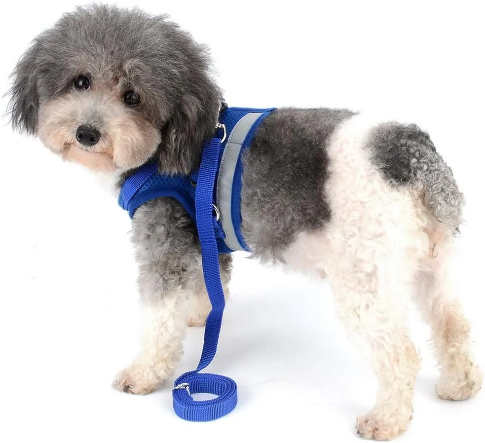 Zunea No Pull Dog Harness for Tiny Small Dog Cat, Kitten Lead Escape Proof for Daily Walking Reflective Breathable Soft Mesh Padded Step-in Vest Harnesses Leash Set Blue XS