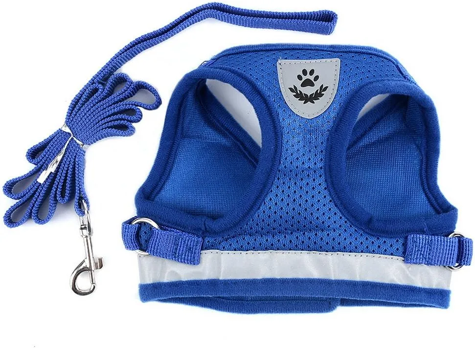 Zunea No Pull Dog Harness for Tiny Small Dog Cat, Kitten Lead Escape Proof for Daily Walking Reflective Breathable Soft Mesh Padded Step-in Vest Harnesses Leash Set Blue XS